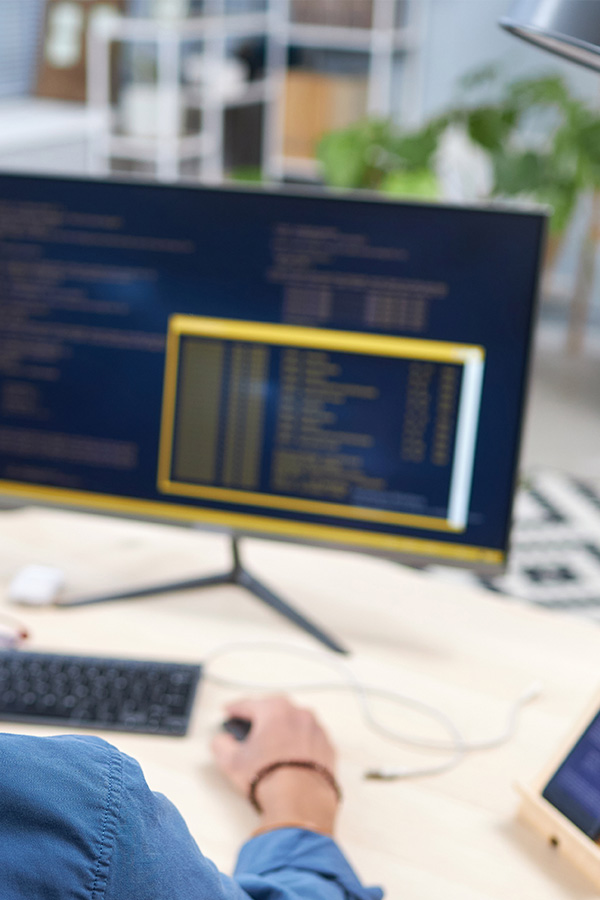Back-end <br>Developer